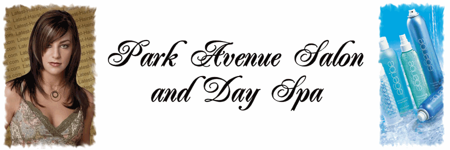 Park Avenue Salon and Day Spa